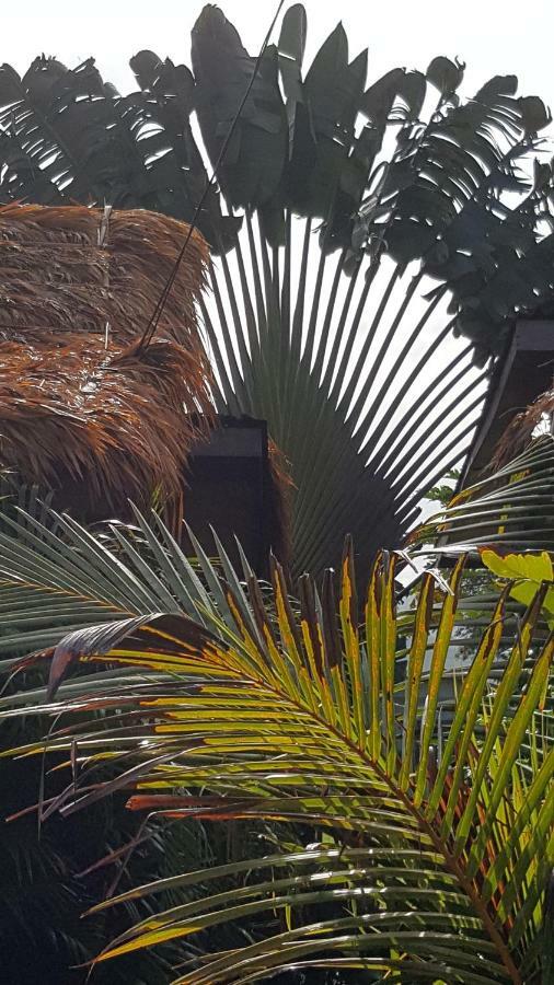Sabandy House B&B Padang Mat Sirat Bagian luar foto