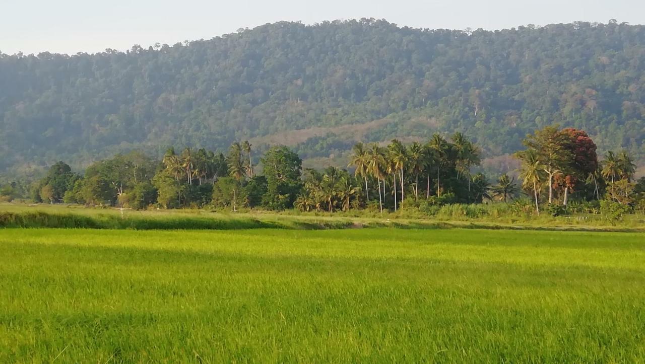 Sabandy House B&B Padang Mat Sirat Bagian luar foto